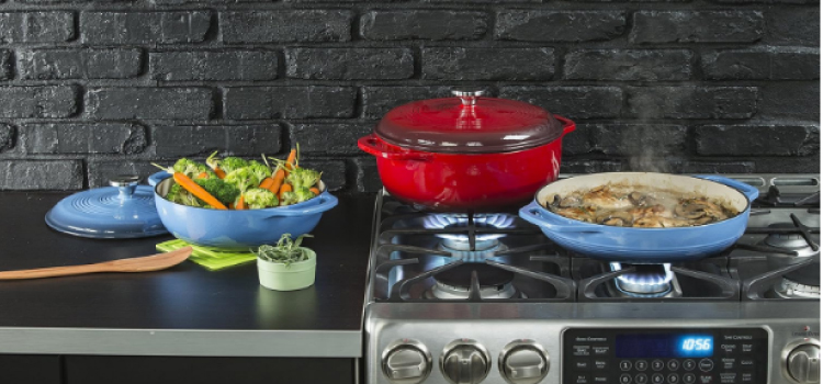 Stainless Steel Dutch Oven vs Cast Iron
