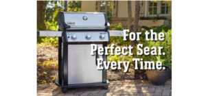Read more about the article Exploring the Differences: Weber Spirit II E-310 vs. E-315