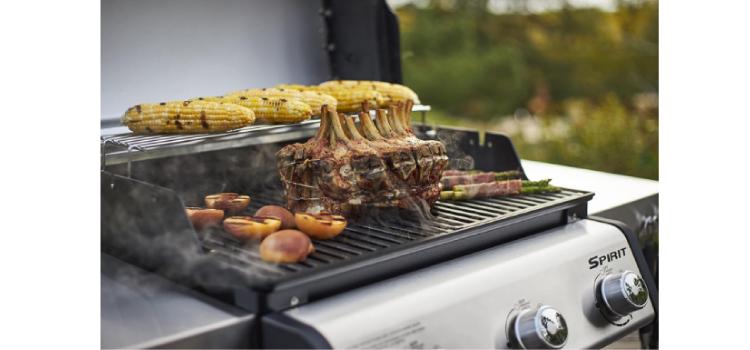 Is a Weber Grill Worth the Money